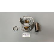 ПоршеньДВС 13306-1012/-1013  --  J08C-T  ALFINбезOG,COPPER/ФК61,L100  STD  шт  FGM /3КП4/