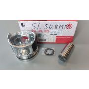 ПоршеньДВС SL07-23-200/SL07-23-200A -- T3500,SL ALFINnoOG,GRAPH,ANOD/ФК51mm STD шт JCAR